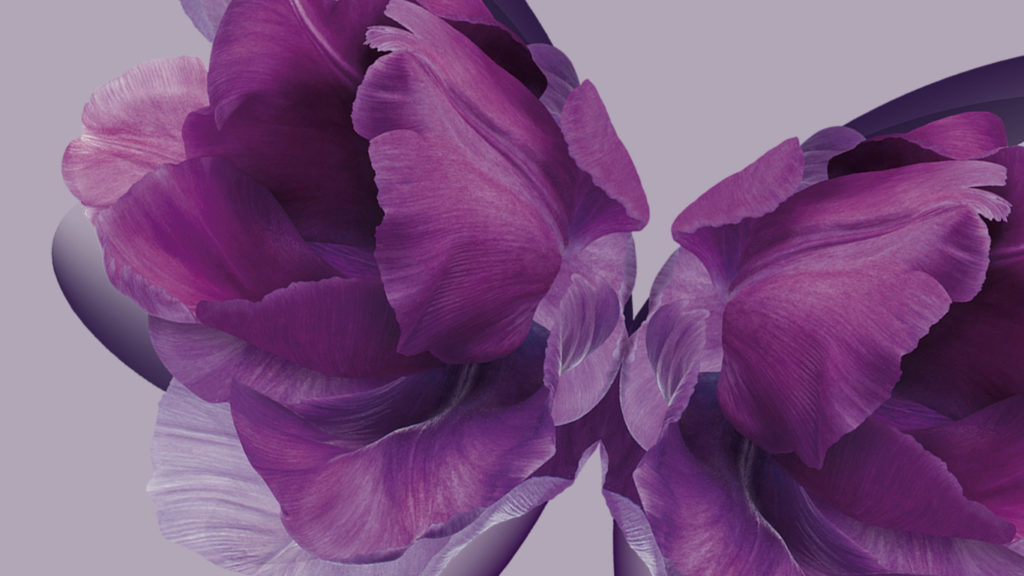 ¿En qué consiste el programa "Beauty That Lasts" de Coty?