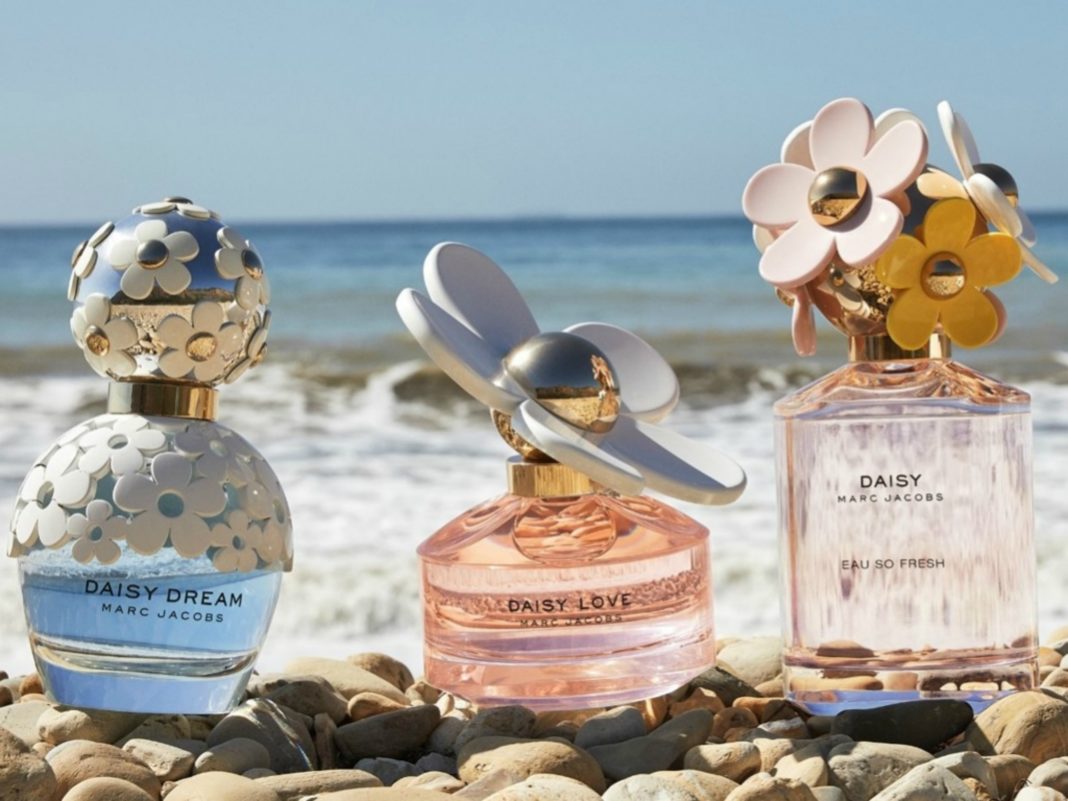 Hero - Daisy family 1000